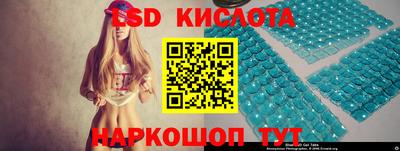 jwh Кингисепп