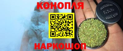 jwh Кингисепп