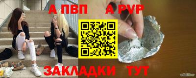 jwh Кингисепп