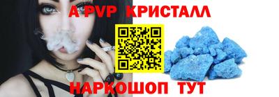 jwh Кингисепп