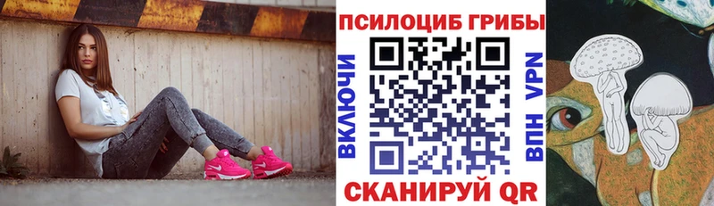 Галлюциногенные грибы MAGIC MUSHROOMS  мега tor  Заводоуковск 
