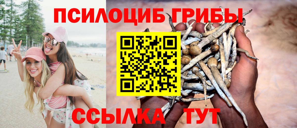 Галлюциногенные грибы ЛСД Заводоуковск