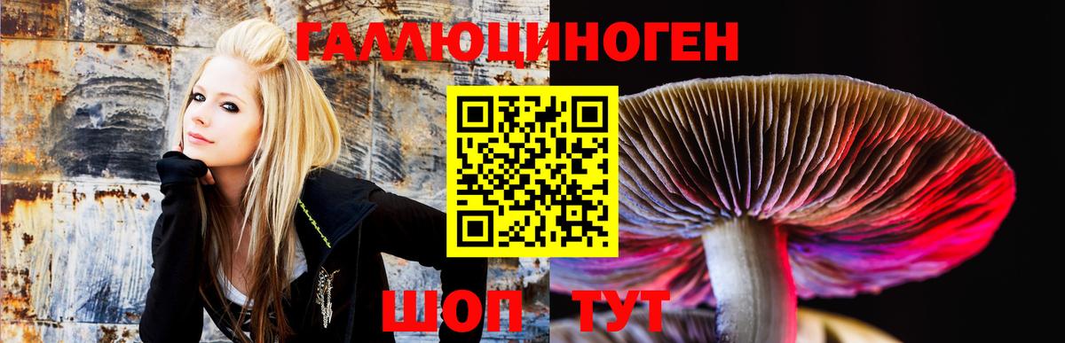 где можно купить наркотик  Псилоцибиновые грибы Psilocybe  Псилоцибиновые грибы ЛСД  Вход с VPN  Заводоуковск 