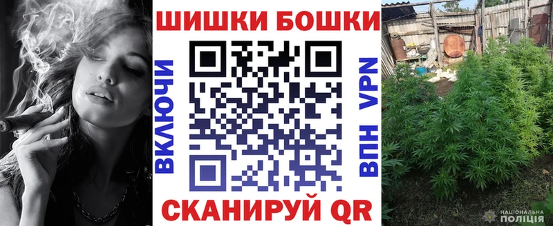 сколько стоит  Заводоуковск  Бошки Шишки семена 